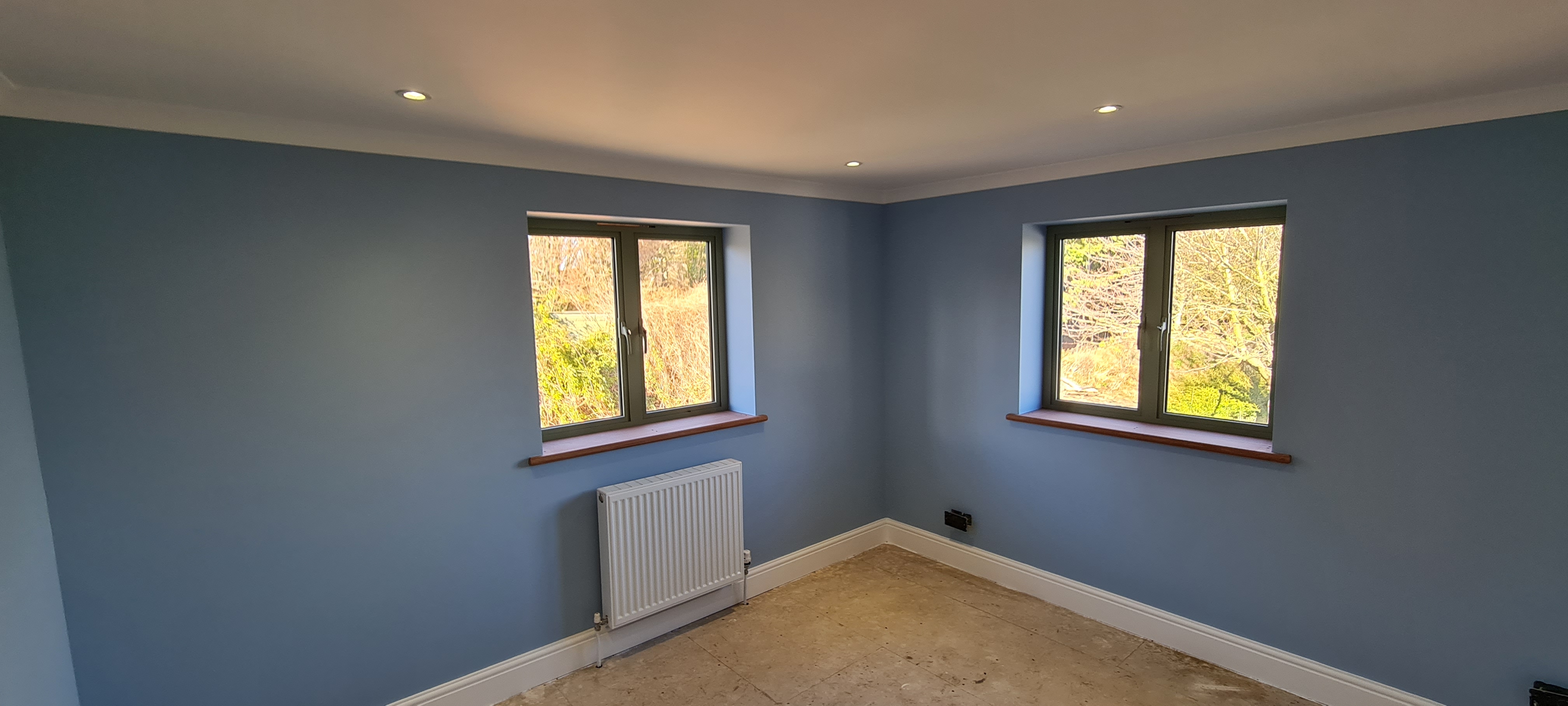 Finished bedroom with blue-grey walls, two windows and white coving